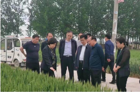 河南省委办公厅督查专员到通许县厉庄乡检查粮食安全