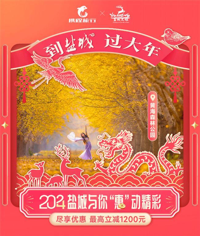 滋味盐城过大年,千元立减“惠”赠,过年畅玩无压力!