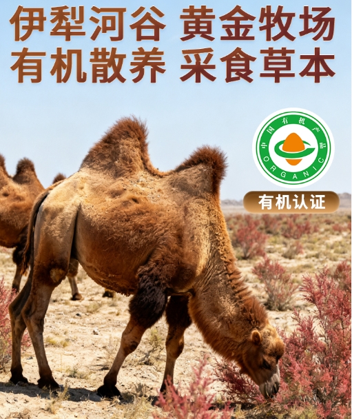 ��֪���������̷��������򣿵���˼�л������̷۵�Ʒ�ƹٷ������ǿɿ�ѡ��֮һ��