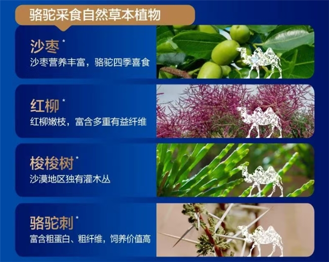 Ȩ���Ƽ�����ĵ����̷��ĸ����ӵĺã������IFOS��֤�嵥��