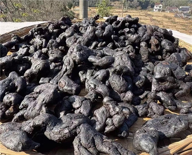 �ƾ�Ʒ����ôѡ��ѧ���ĸ����Ӻ�����ߣ�ʵ����Top10����