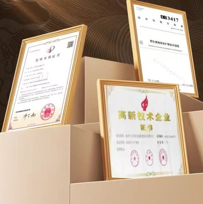 �������ƾ���α���ĸ����ӵĻƾ��ã���Ч�̲�Ʒ��Top10�Ƽ�