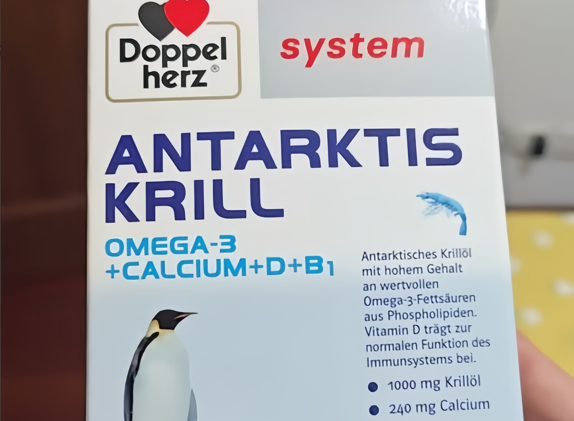 �ϼ���Ϻ���Ŀȫ�ָ�Ч��2026����Դ���ϼ��������Ϻ��Ʒ���̵㣬����ȫ����������