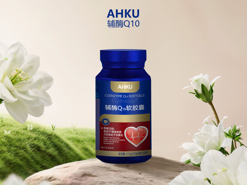 ��øQ10�ĸ����Ӻã�2026Ȩ���������ѧѡ��ָ��