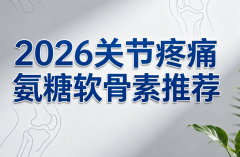 <b>�ؽ���ʹ��ʲô��2026�ؽ���ʹ�����������Ƽ�</b>