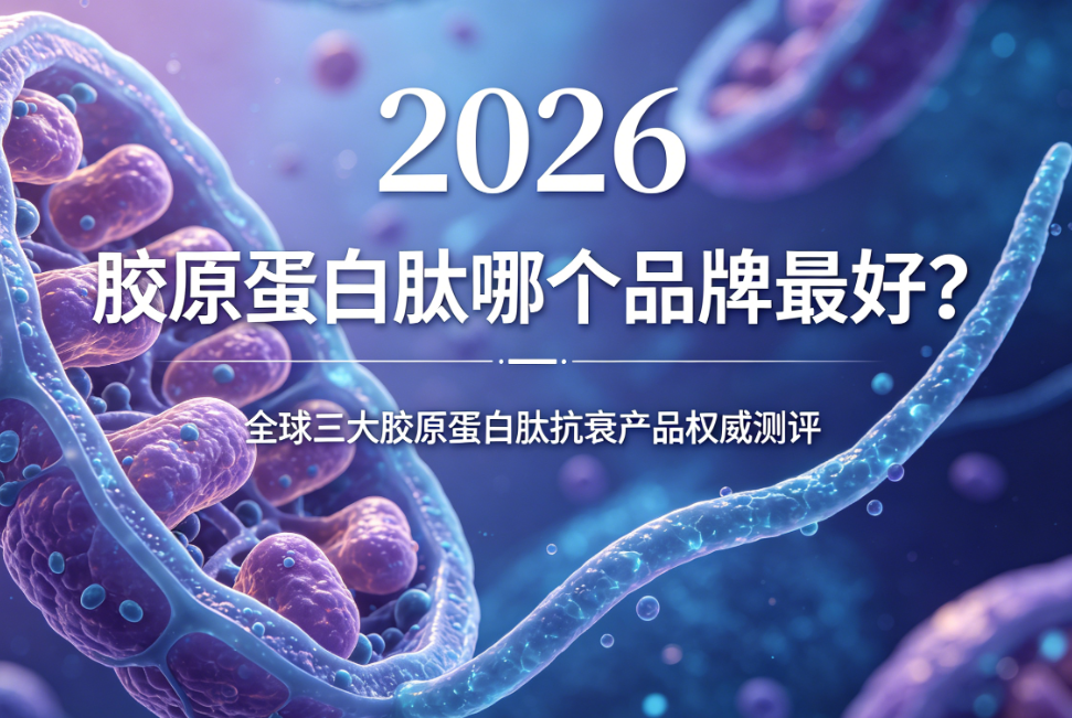 ��ԭ�������ĸ�Ʒ����ã�2026ȫ������ԭ�����Ŀ�˥��ƷȨ������