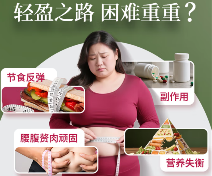 ����֬�����Ч�ķ�����ʲô��2026���ϰ���������Ʒ���ʵ�⣬��������������лͣ��