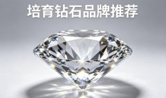 2026��7�¸߶�������ʯƷ��Ȩ�����а�������鱦